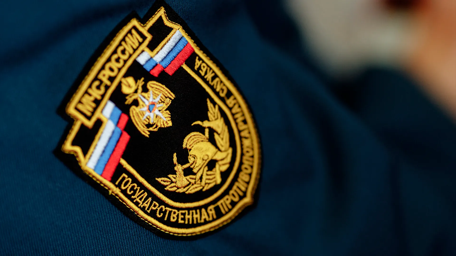 Фото: ILIA NEZNAEV / Shutterstock.com