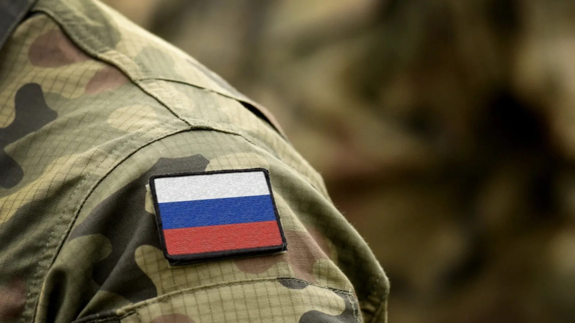 Фото: Bumble Dee/Shutterstock/Fotodom