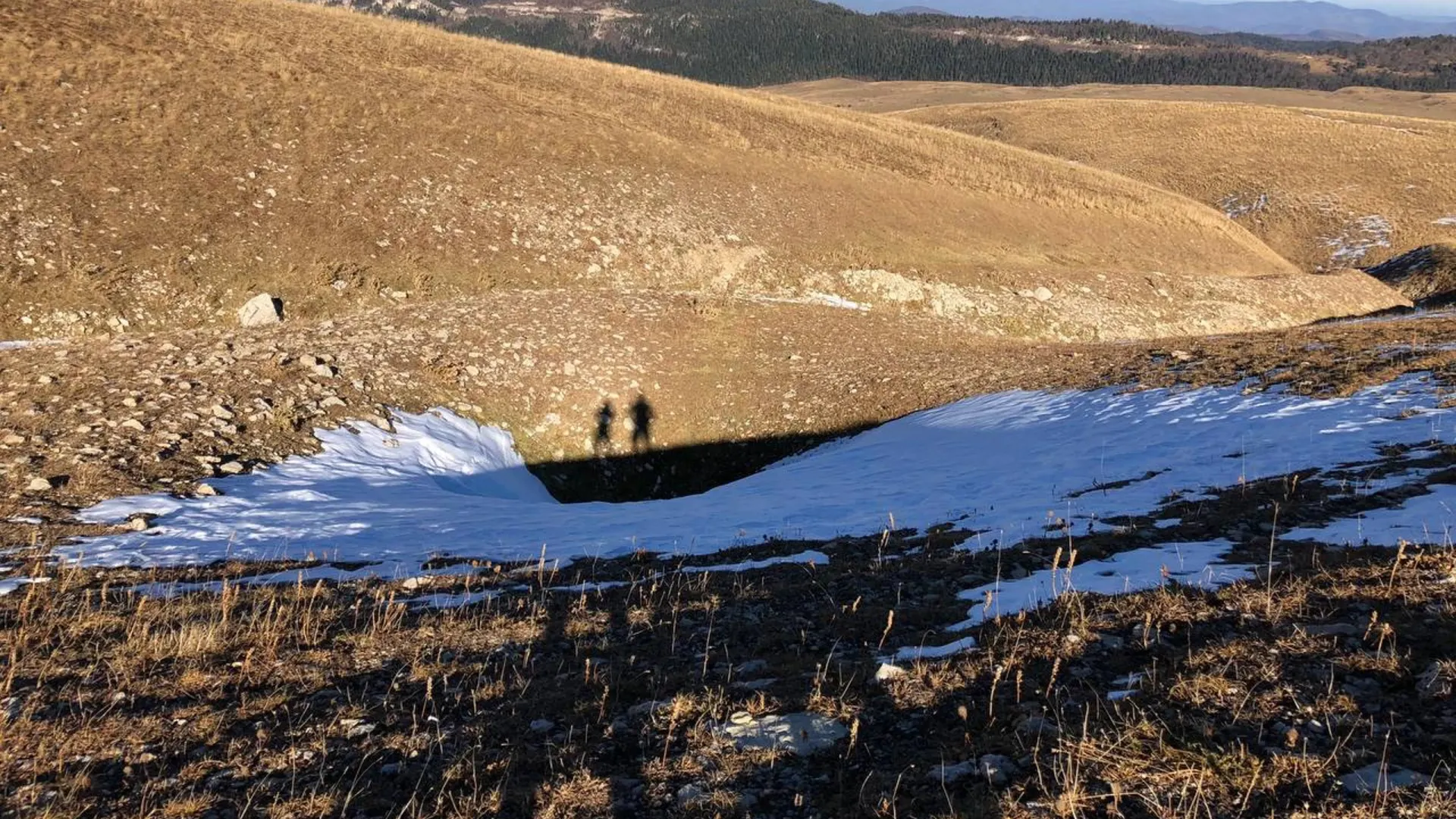 Фото: Мария Барановская/«Ямал-Медиа»