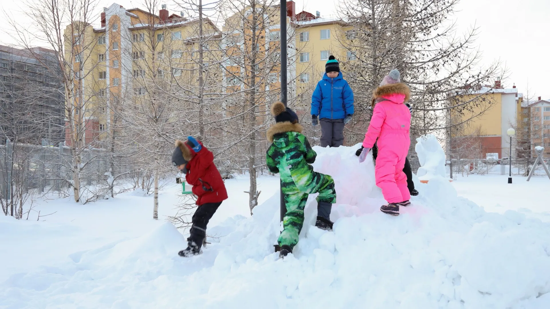 Фото: Василий Петров/«Ямал-Медиа»