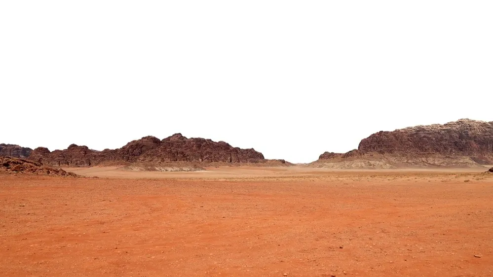 Фото: VLADJ55/ Shutterstock/Fotodom