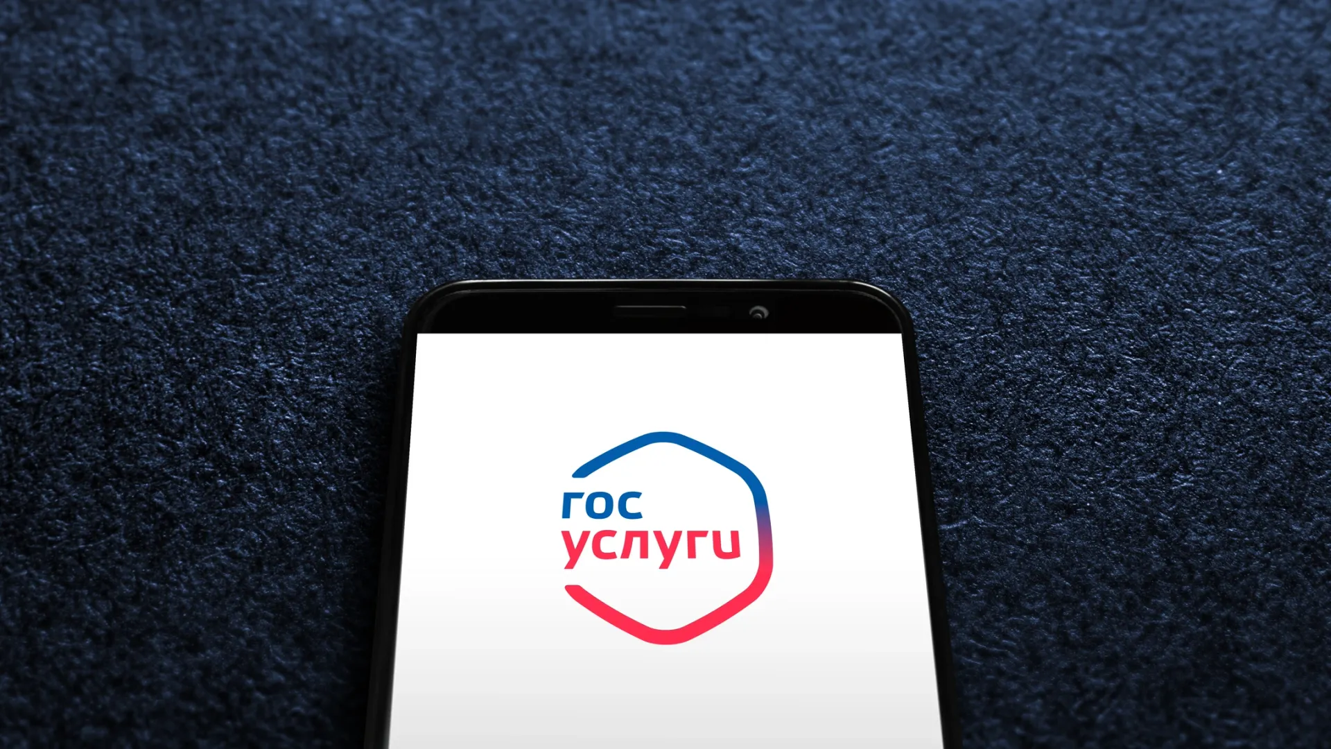 Фото: Hamara/Shutterstock/Fotodom