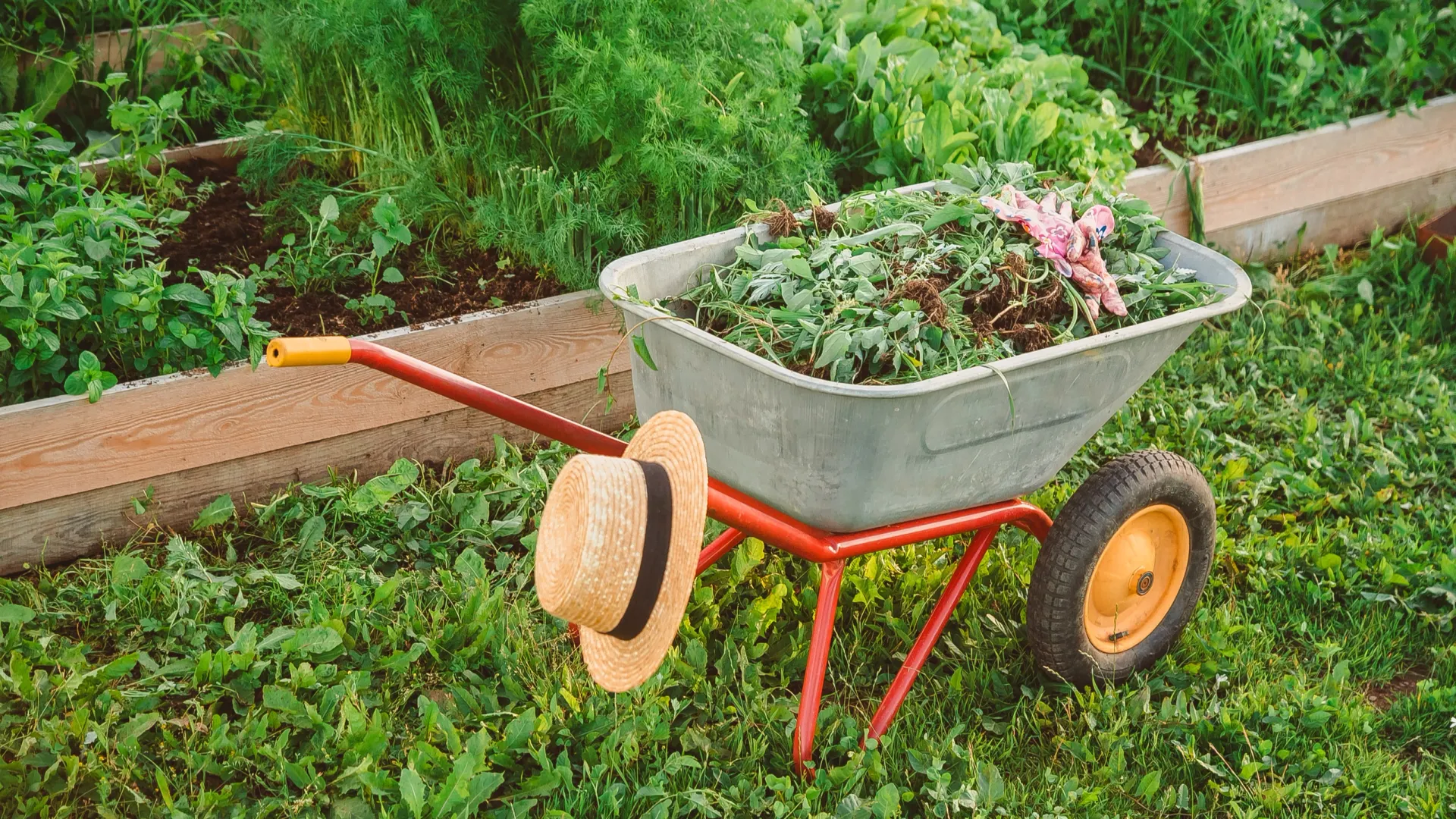 Фото: Ekaterina Kuzovkova/Shutterstock/Fotodom