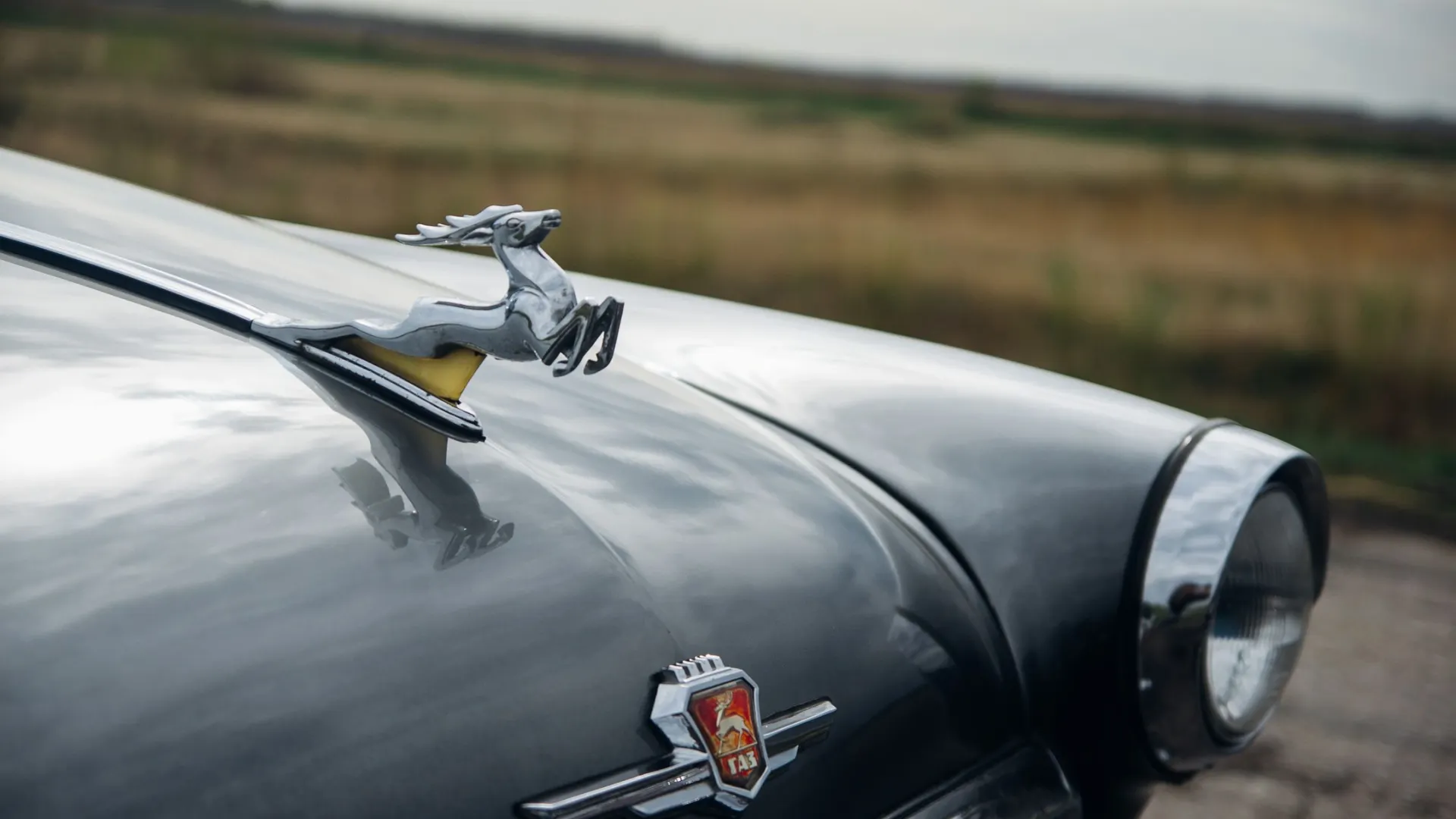 Фото: fireflite59/Shutterstock/Fotodom