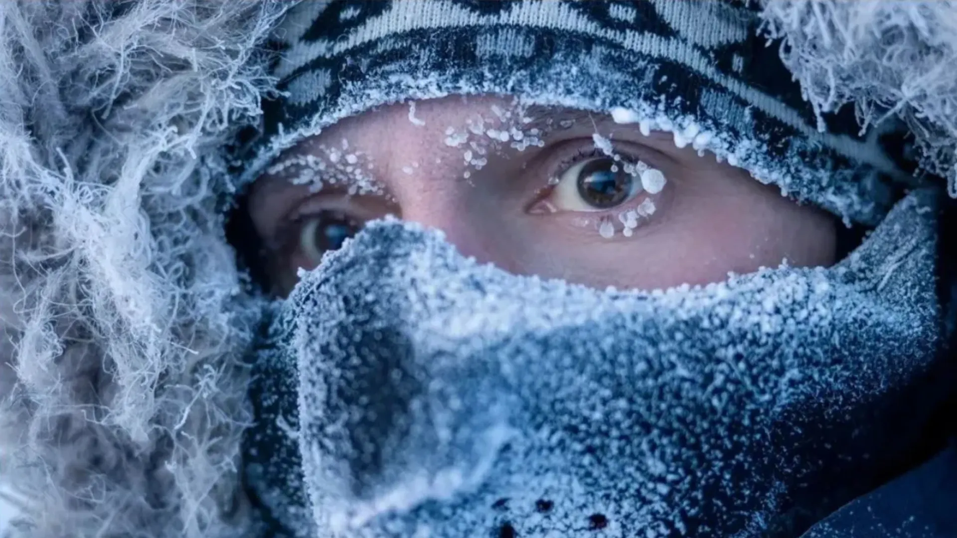 Холодный климат. Метель в ленобласти. Сильный мороз ночь. Сильный мороз. 30 градусные морозы.