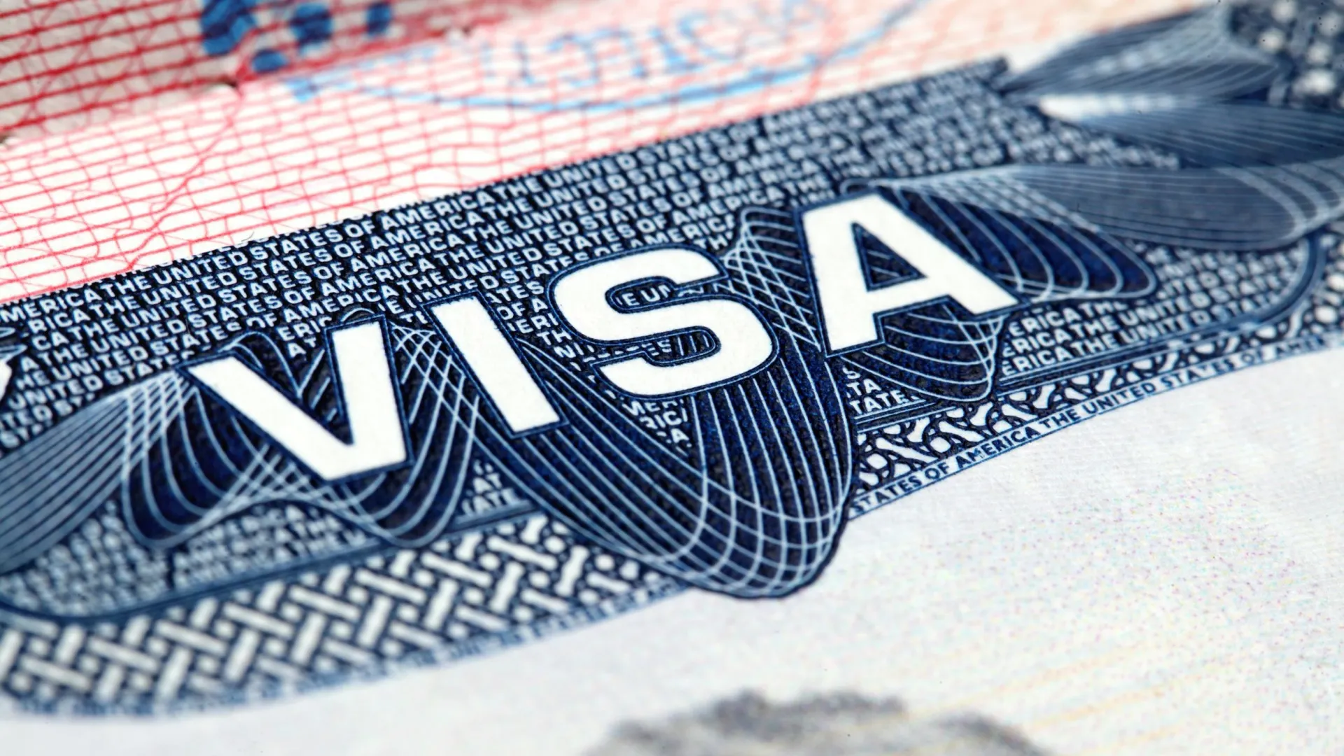 Фото: Alexander Gatsenko/Shutterstock/Fotodom