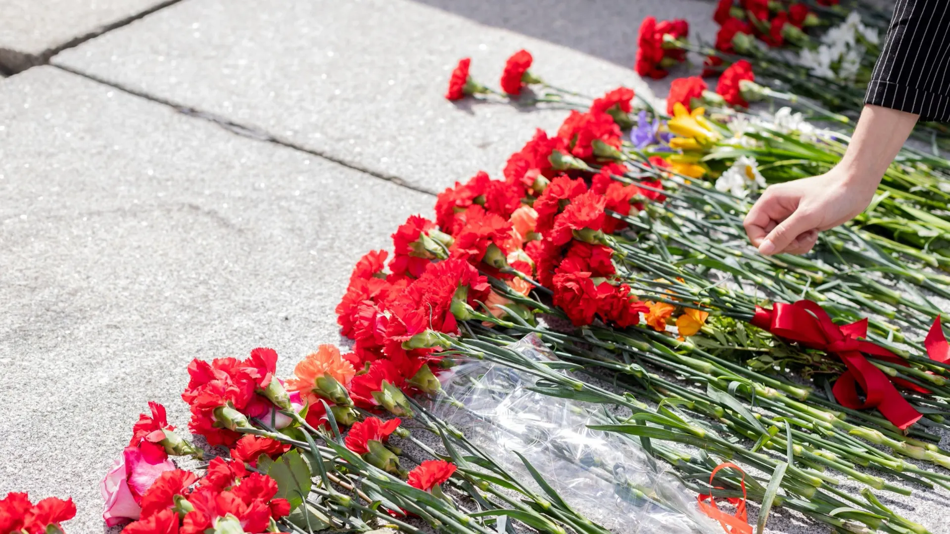 Фото: Yulia YasPe/Shutterstock/Fotodom