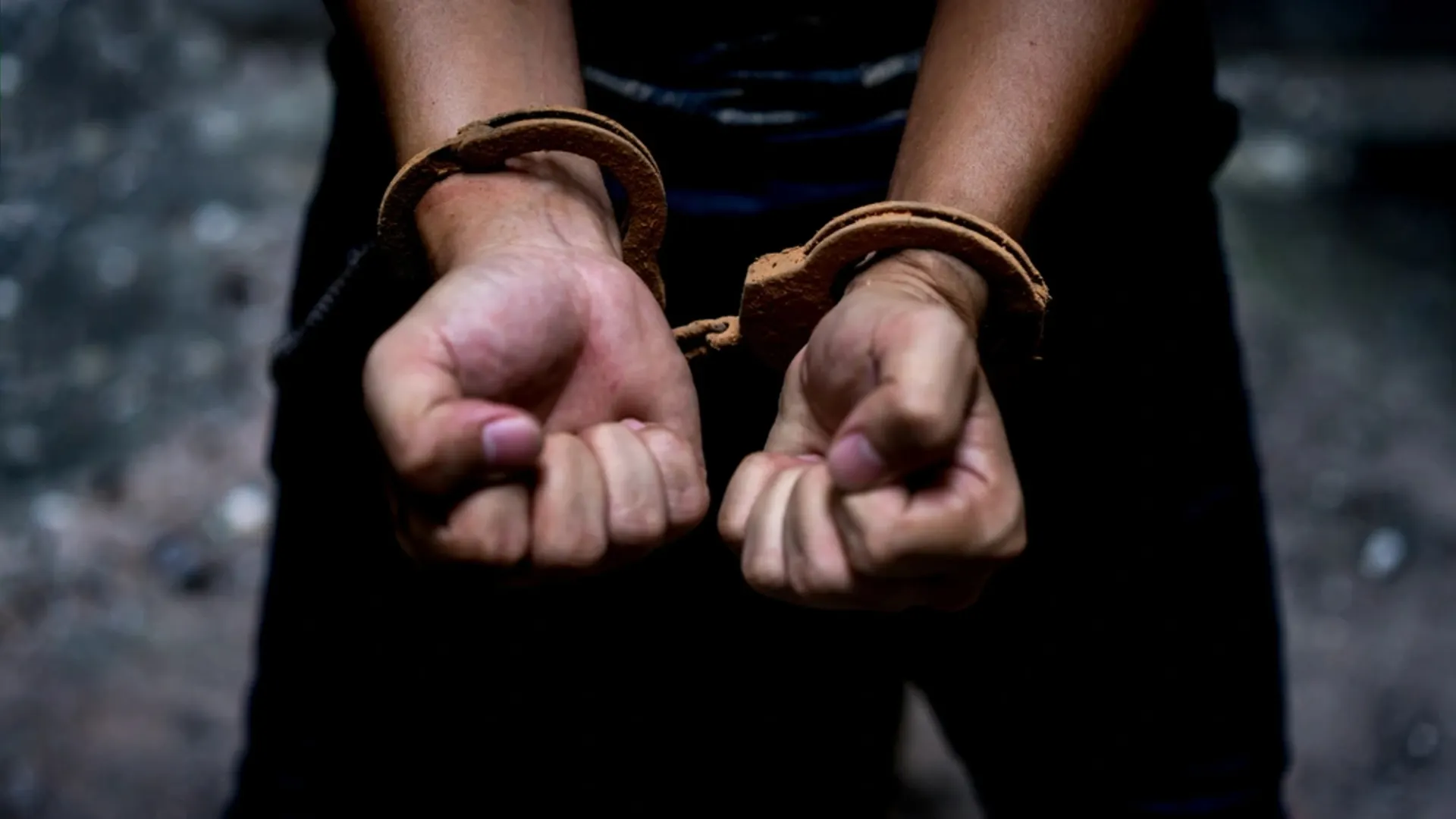 Фото: MMD Creative/Shutterstock/Fotodom