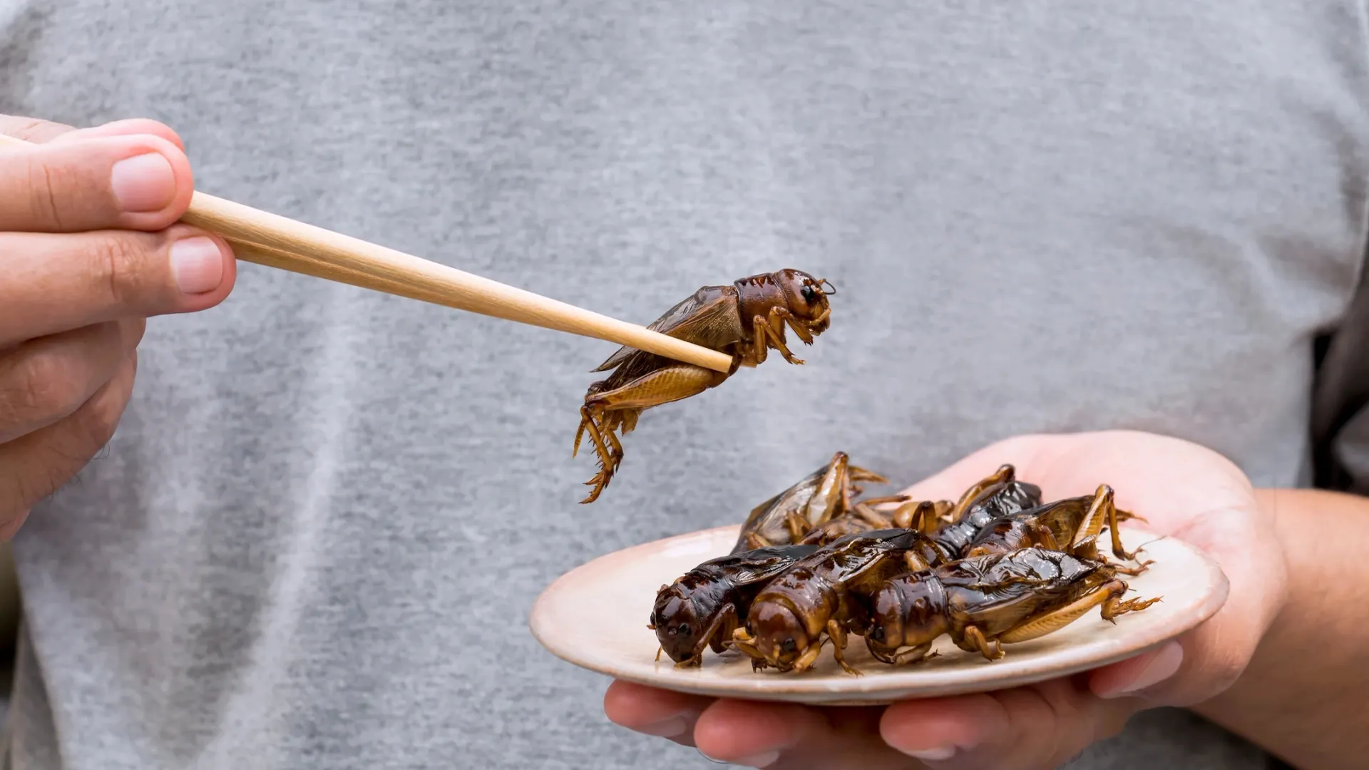 Фото: nicemyphoto/Shutterstock/Fotodom