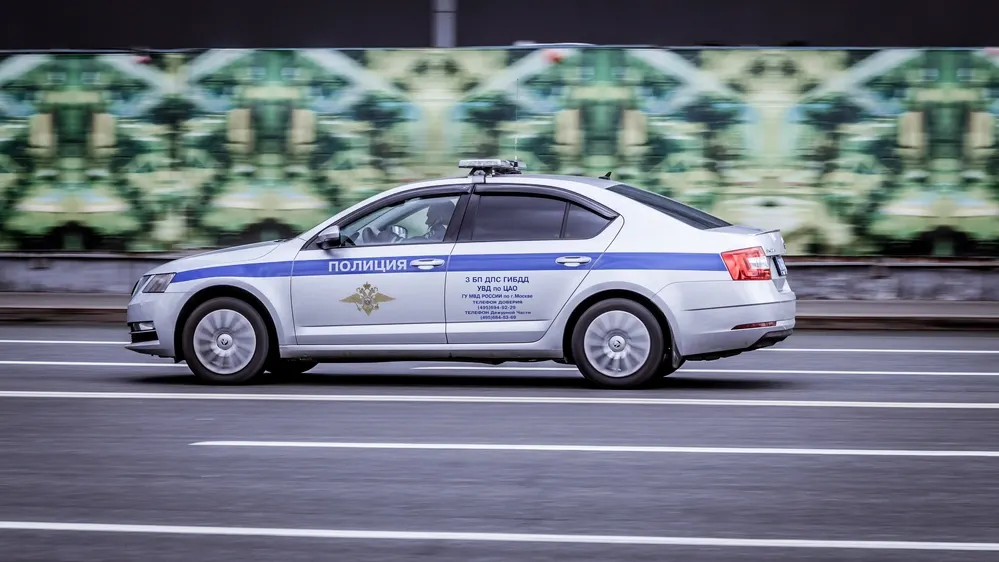 Фото: Haggardous50000/Shutterstock/Fotodom