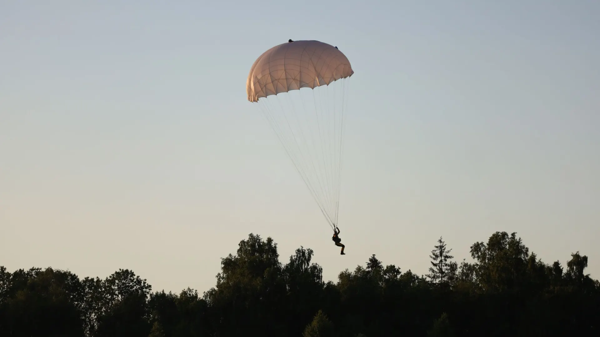 Фото: Sky Antonio/Shutterstock/Fotodom