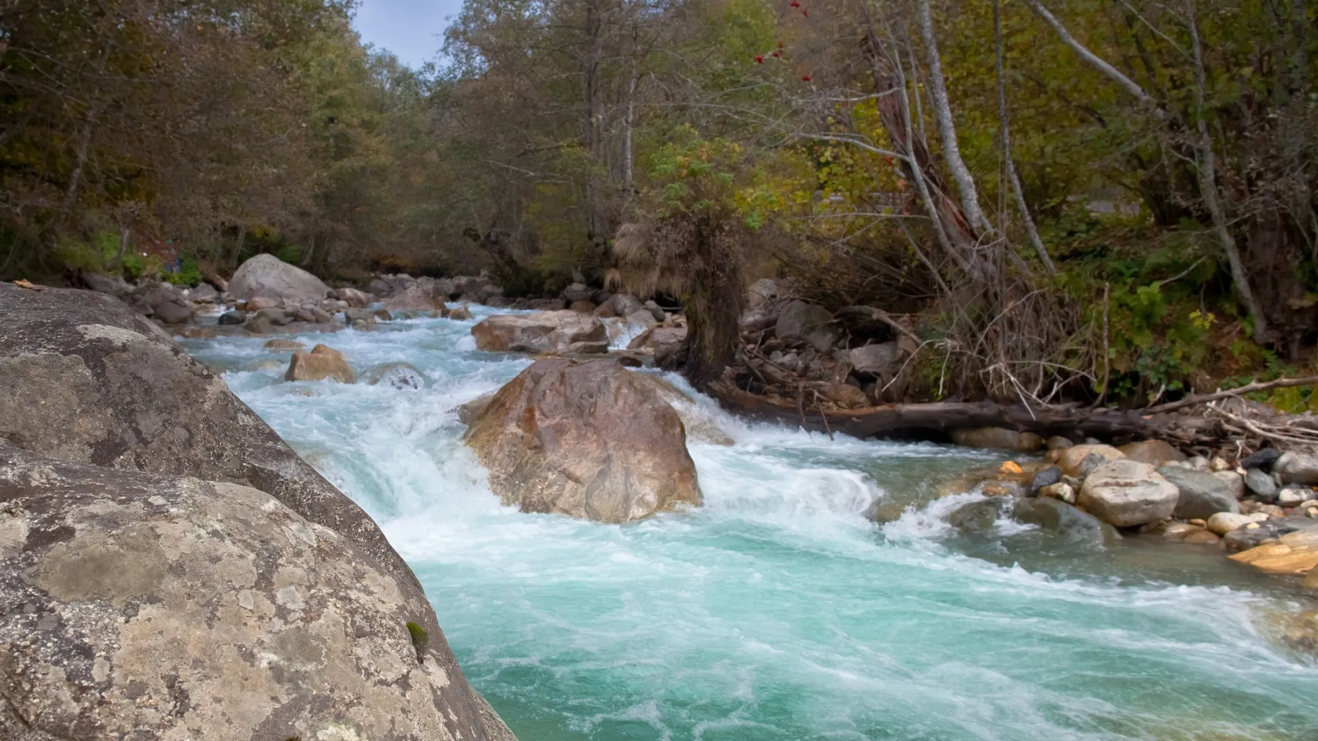 Фото: Konrad Rogozinski/Shutterstock/Fotodom