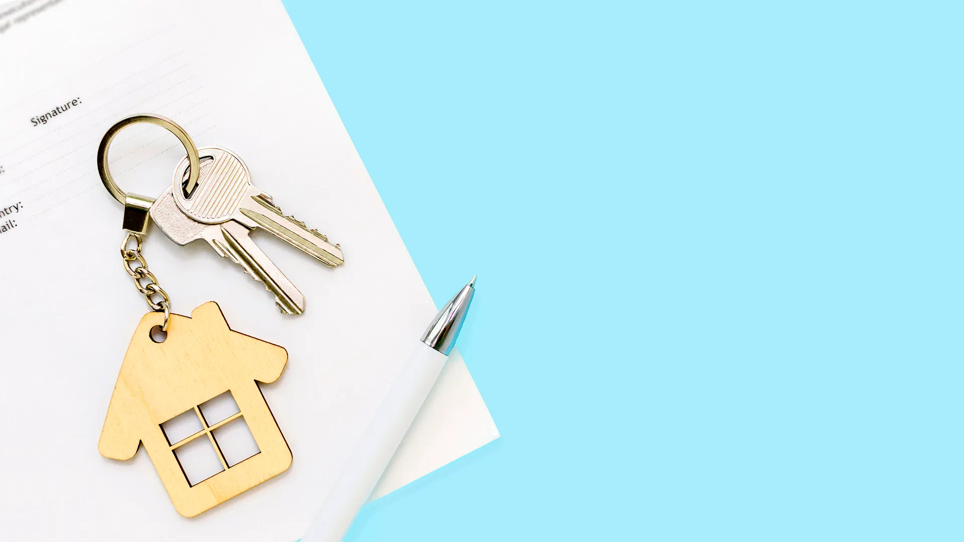 Фото: Ro_ksy / Shutterstock.com