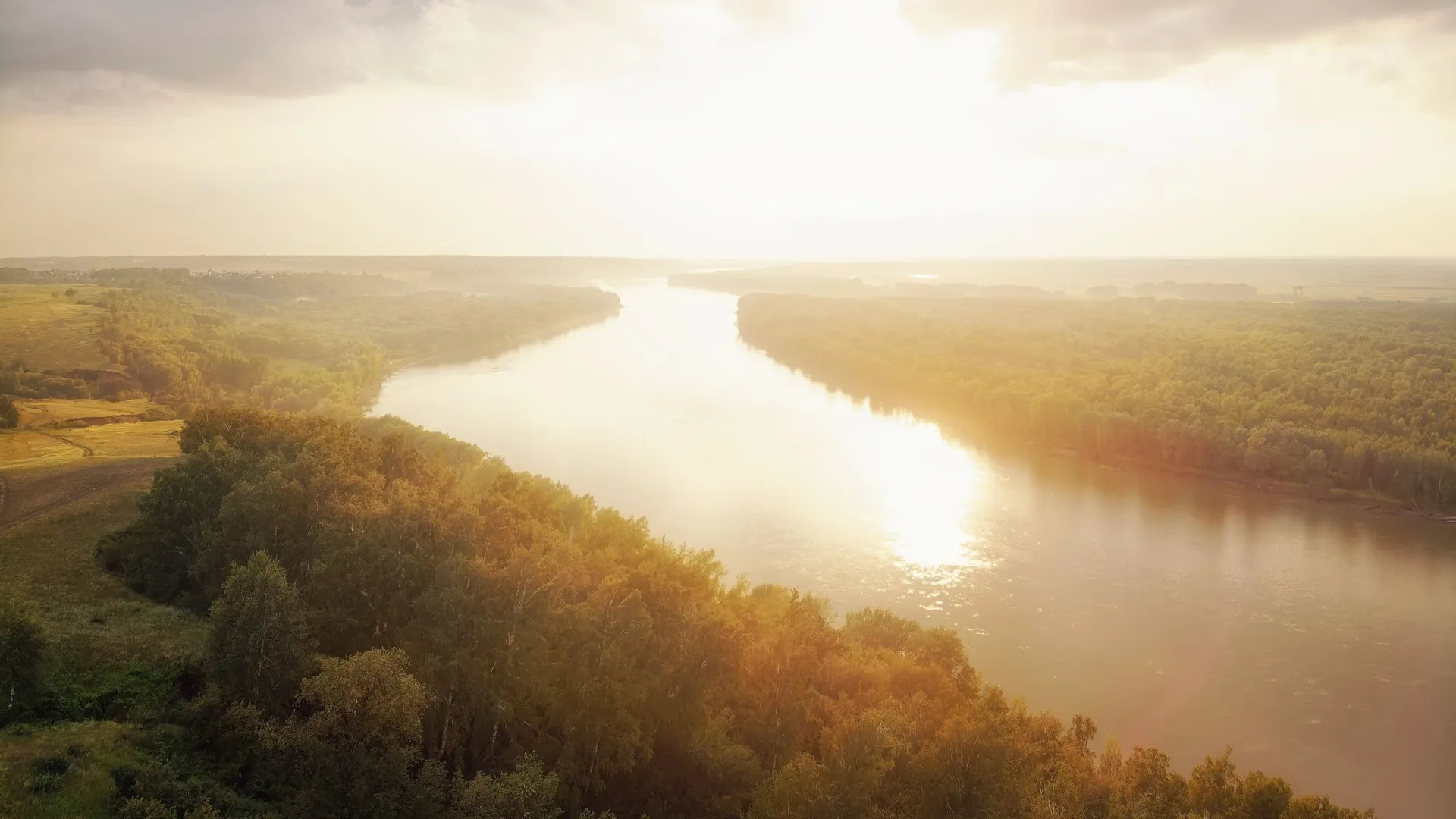 Фото: Salcido/Shutterstock/Fotodom