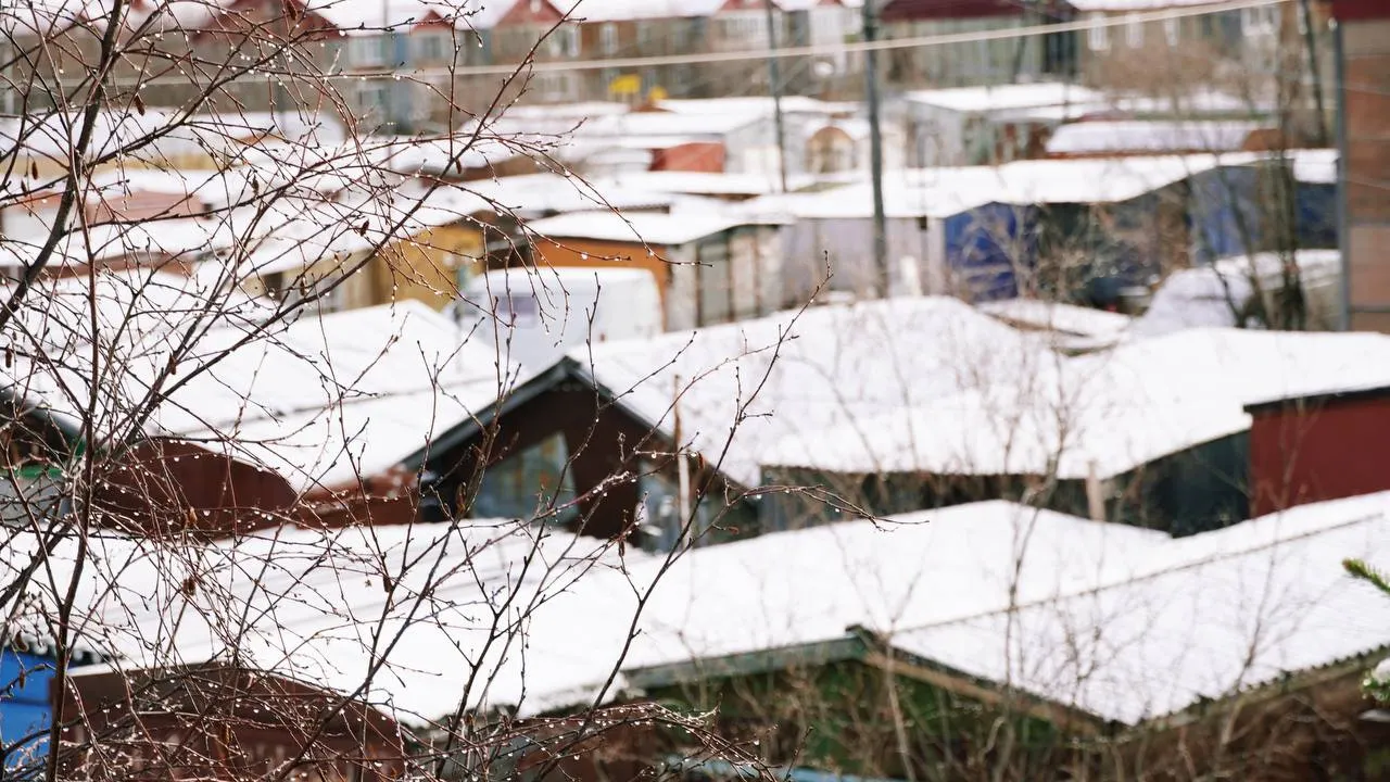 Фото: Юлия Чудинова/«Ямал-Медиа»