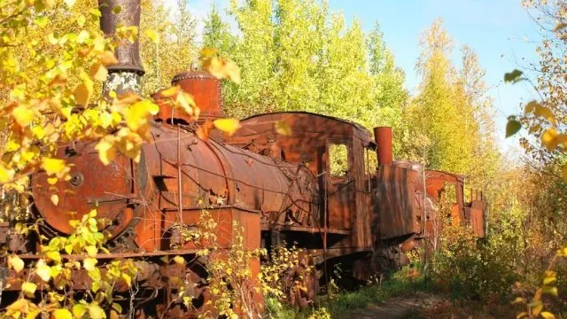 Вот таких свидетелей ушедших лет можно встретить в красноселькупских лесах.                                                                         Фото предоставлено красноселькупским муниципальным архивом 