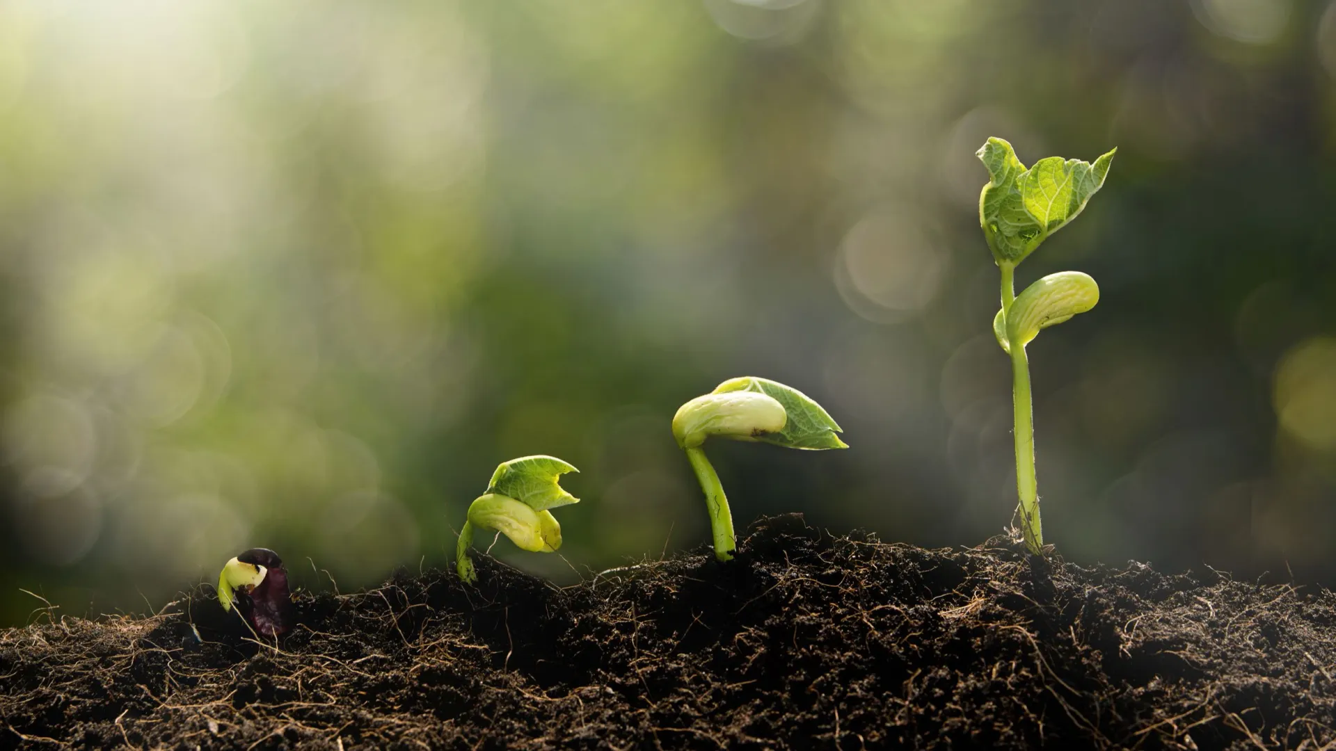 Фото: Love the wind/Shutterstock/Fotodom