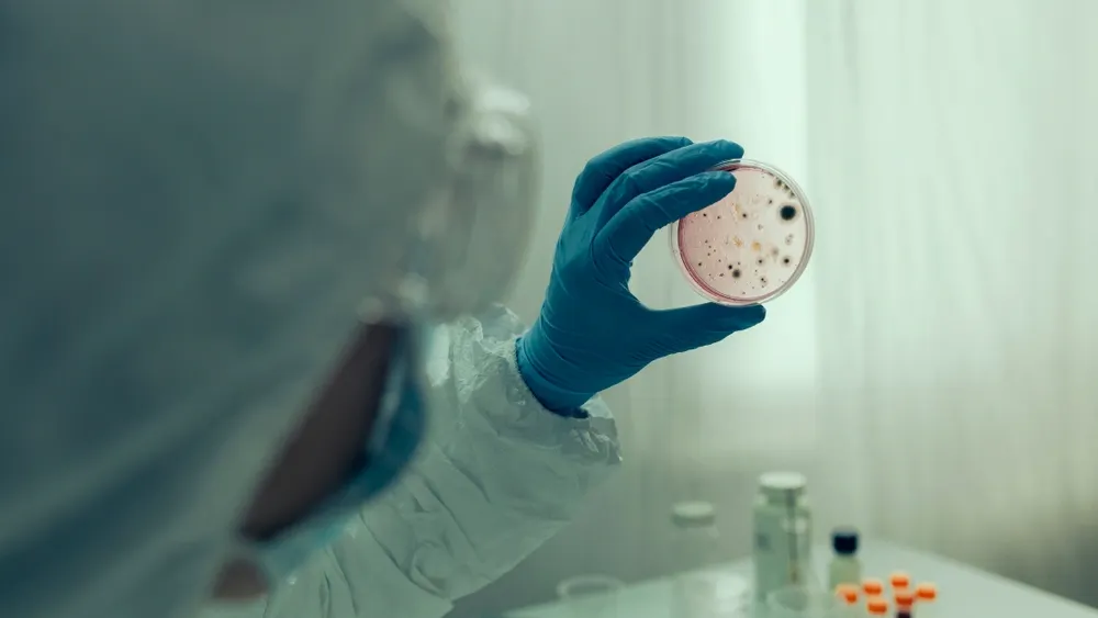 Фото: David Pereiras/Shutterstock/Fotodom