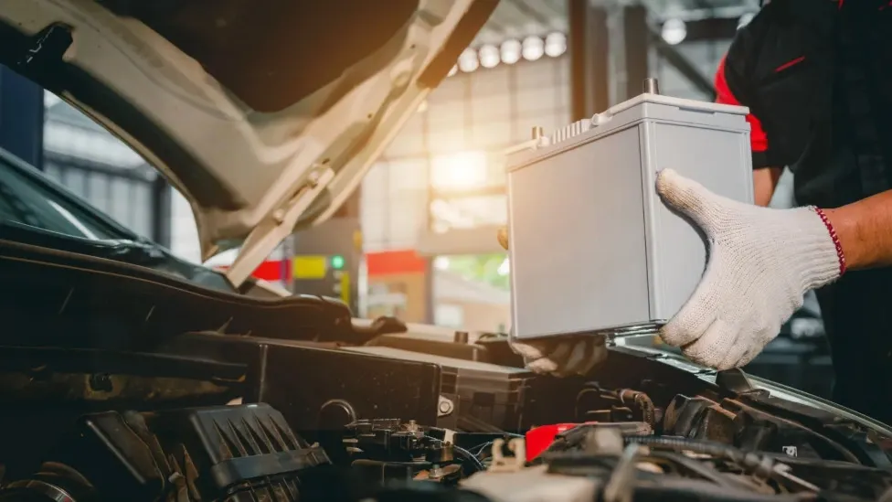 Фото: BELL KA PANG/Shutterstock/Fotodom