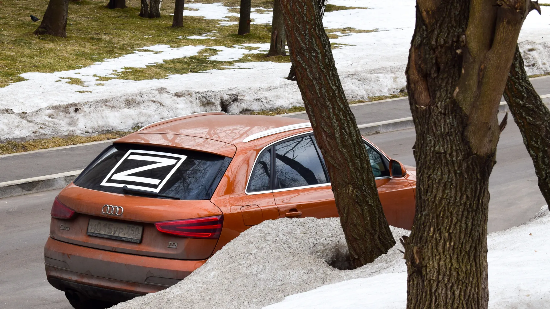 Источник фото: Shutterstock