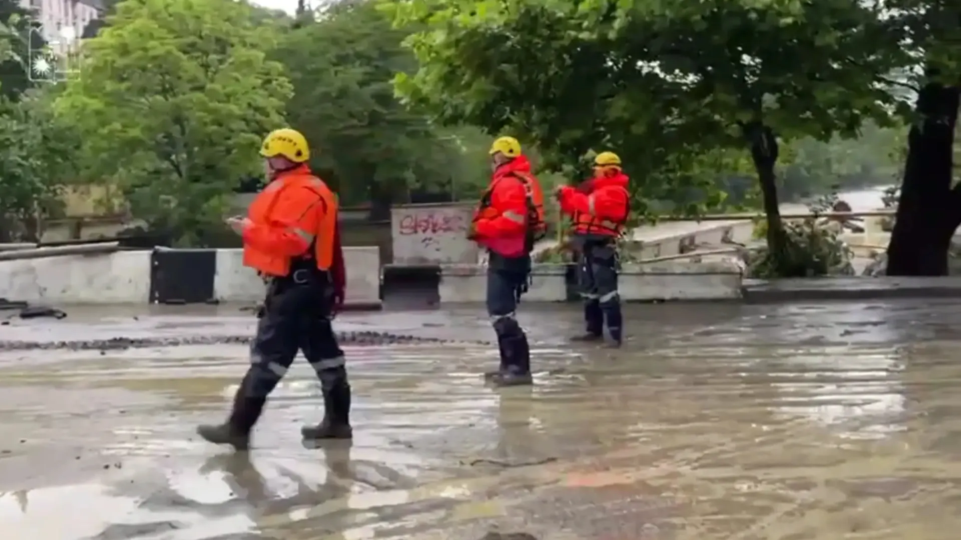 Фото: t.me/AlekseiKopaigorodskii