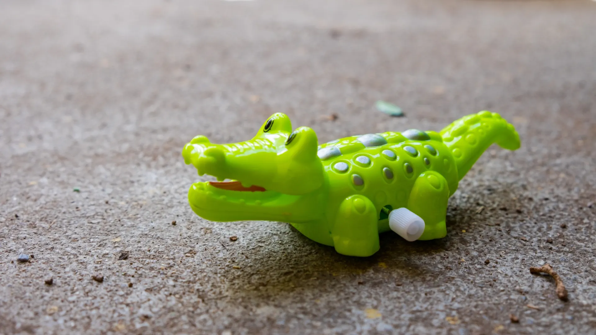 Фото: Maymory/Shutterstock/Fotodom