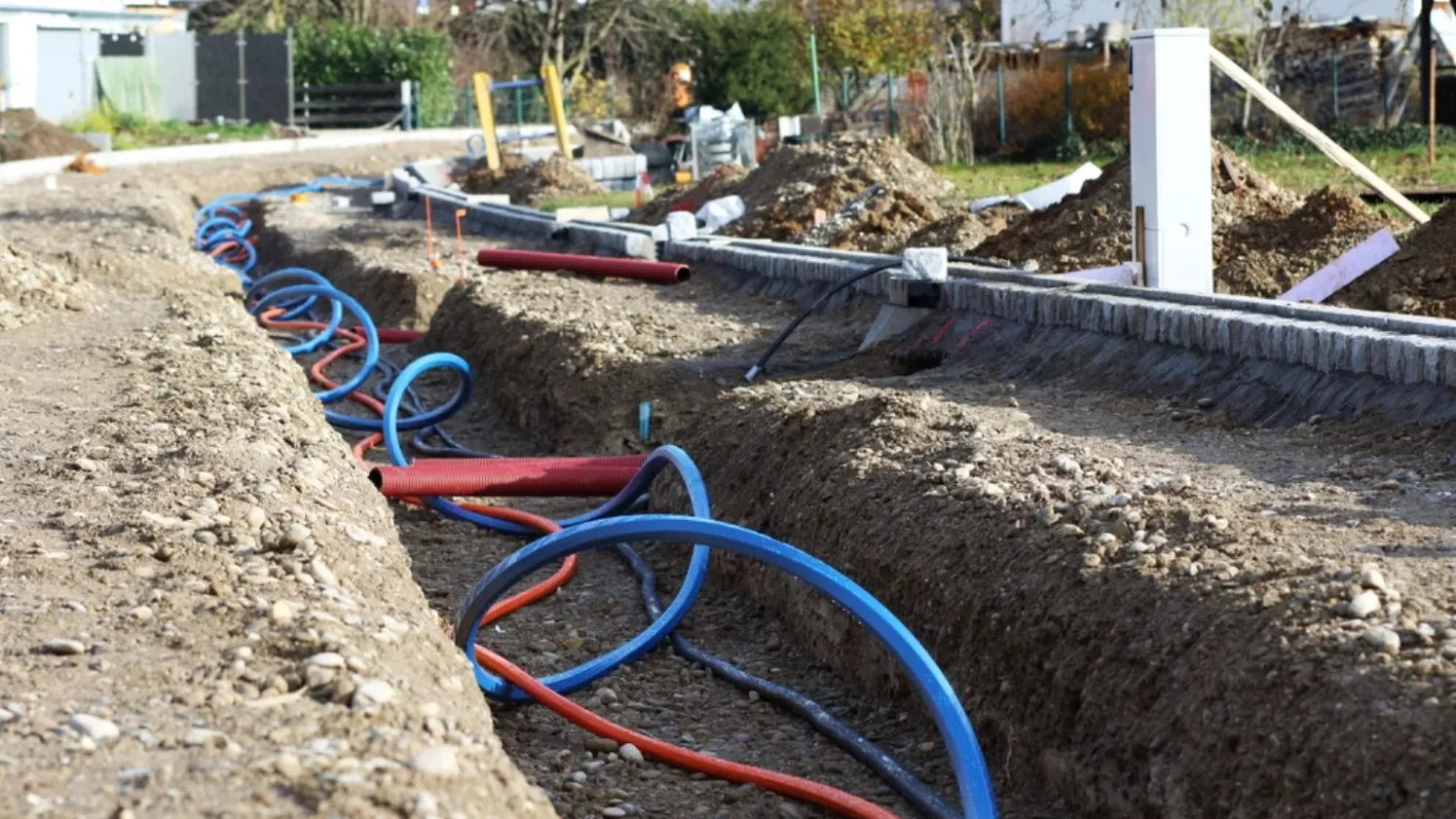 Фото: shutterstock.com/theapflueger