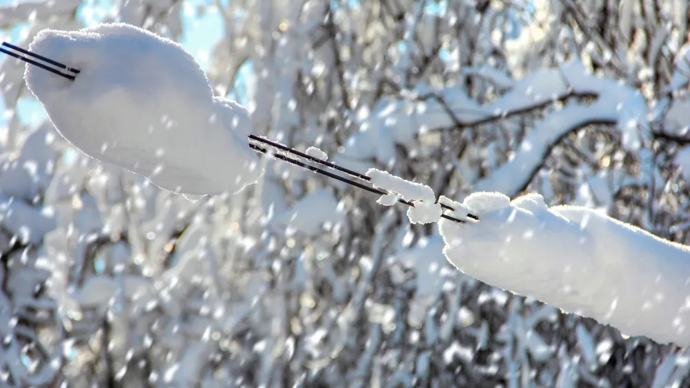 Фото: Zhukovskaya Olga/Shutterstock/Fotodom