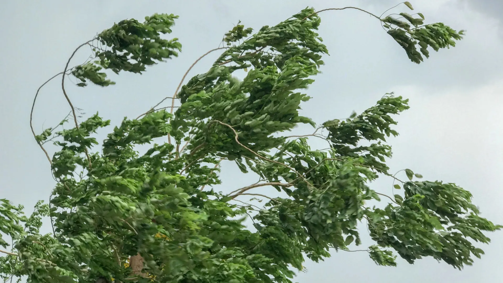 Фото: moxumbic/Shutterstock/Fotodom