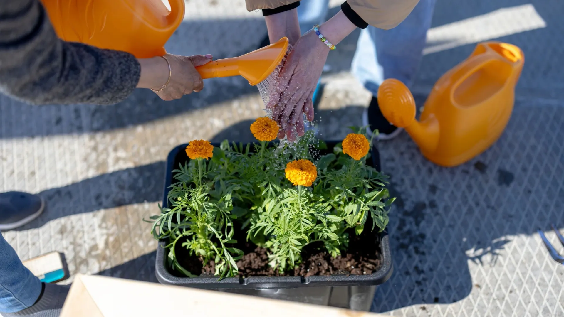 Фото: Сергей Зубков/«Ямал-Медиа»
