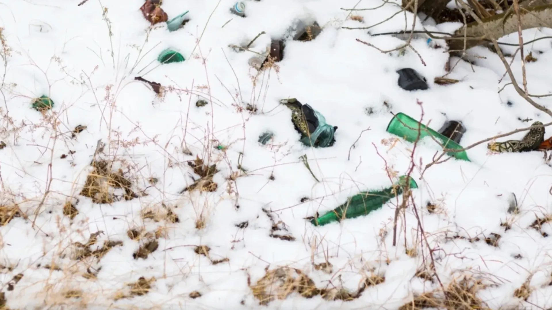 Фото: Tai Dundua/Shutterstock/Fotodom