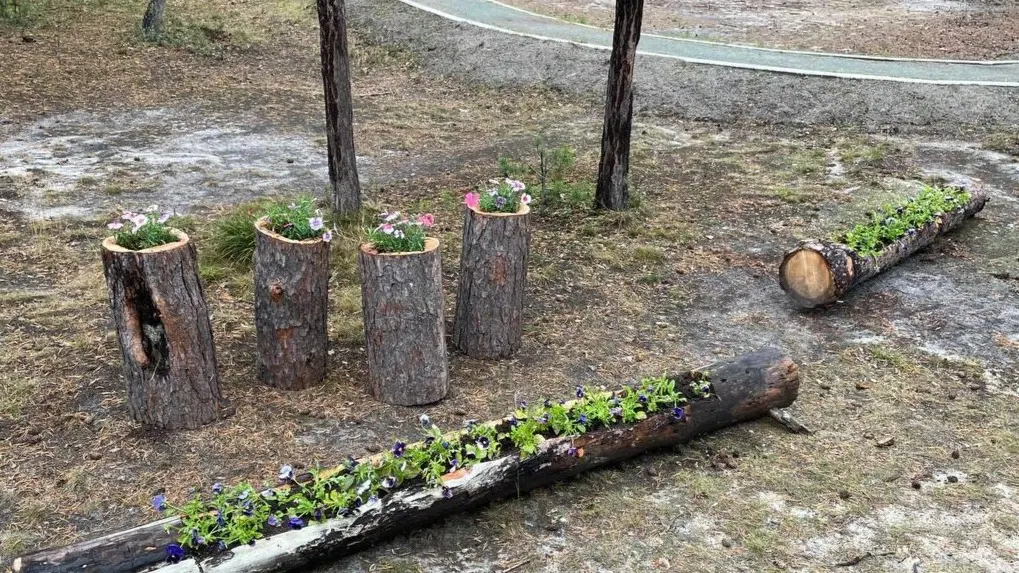 Фото: «Муравленковский день»