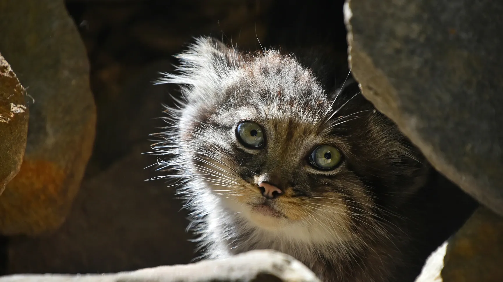 Фото: Breaking The Walls/Shutterstock/Fotodom