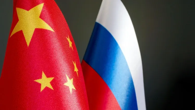 Фото: Vitalii Vodolazskyi/Shutterstock/Fotodom