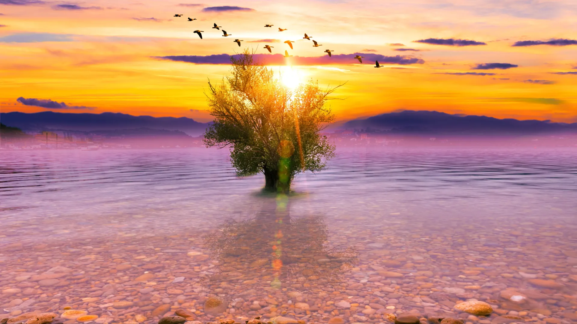 Яркий сон — добрый знак. Фото: carlos castilla/Shutterstock/Fotodom