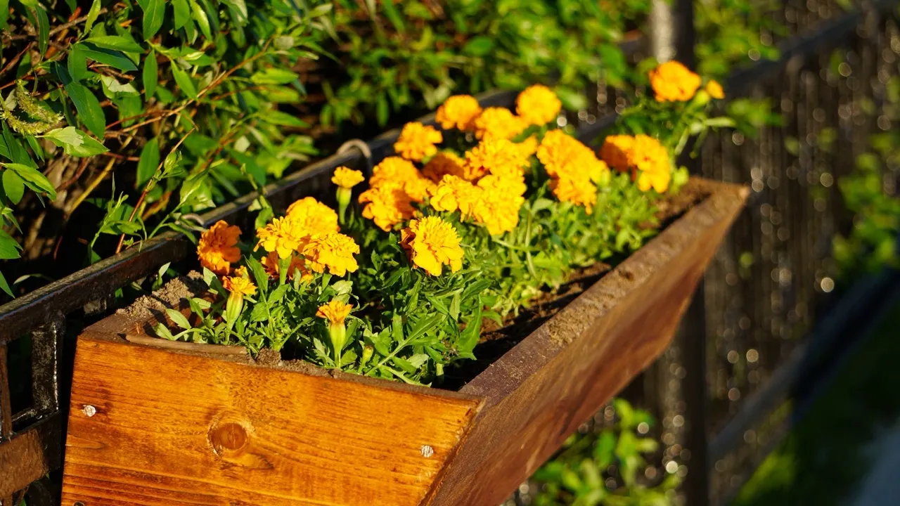 Фото: пресс-служба губернатора ЯНАО