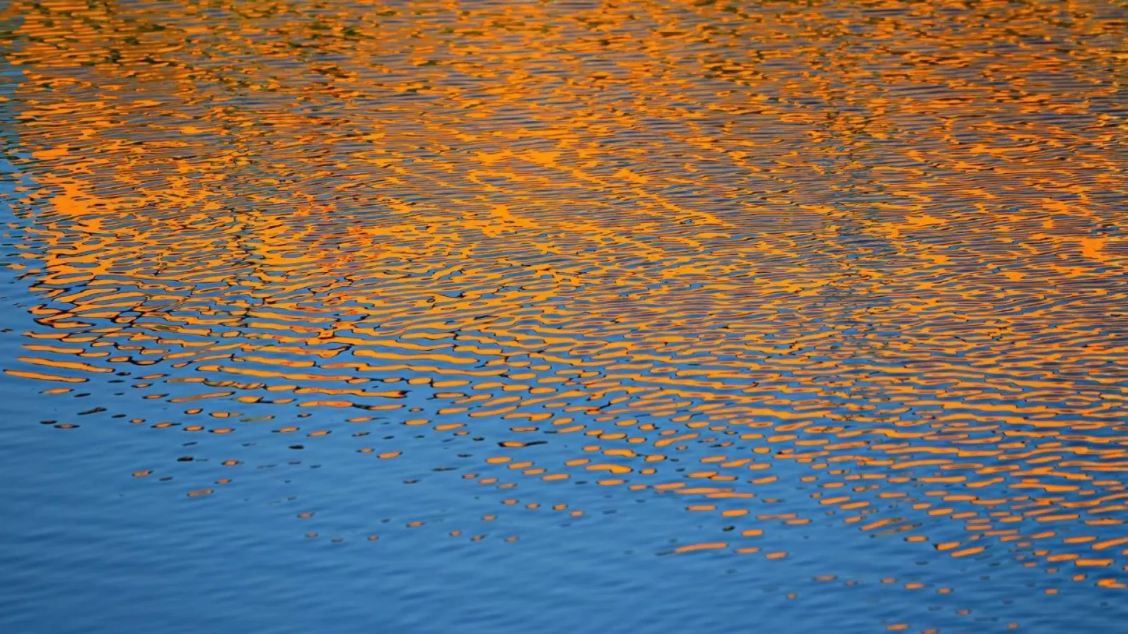 Фото: Pixabay.com