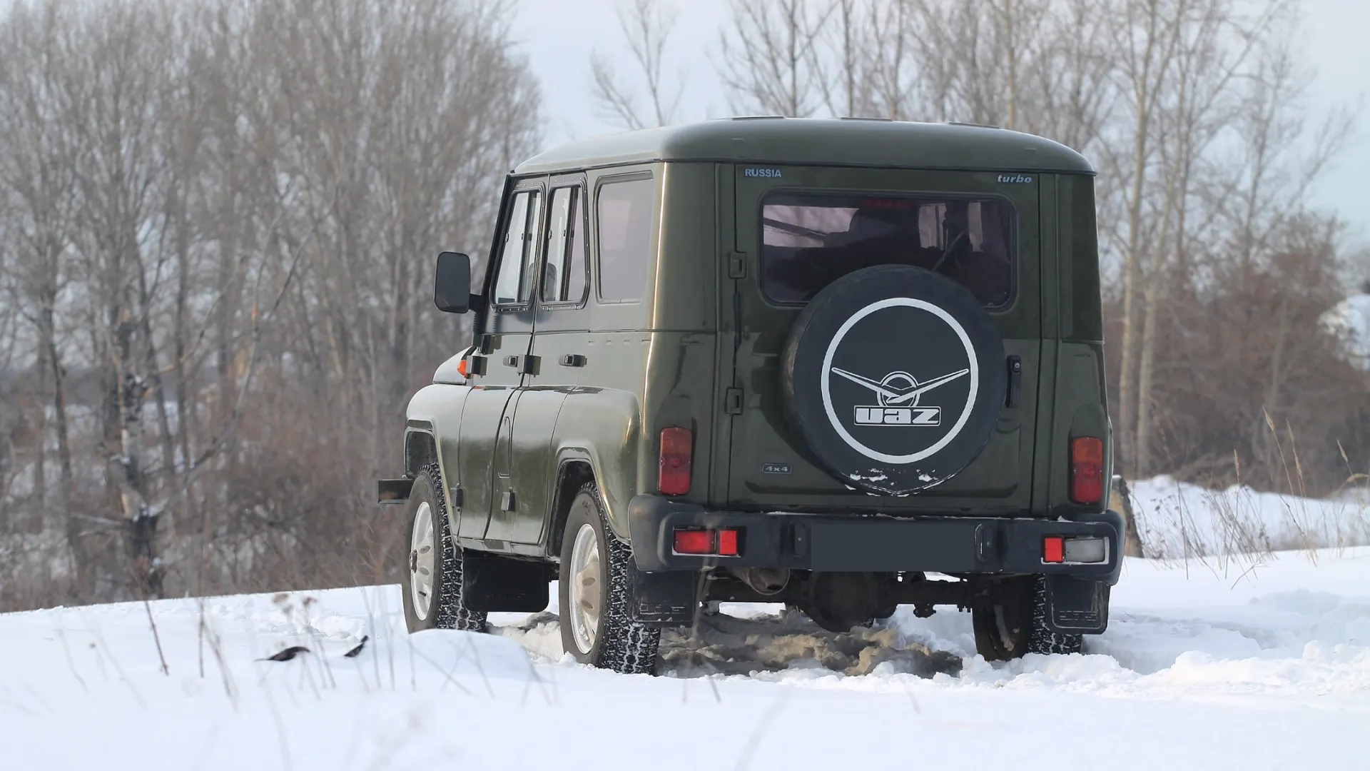 Фото: Matveychuk Anatoliy/Shutterstock/Fotodom