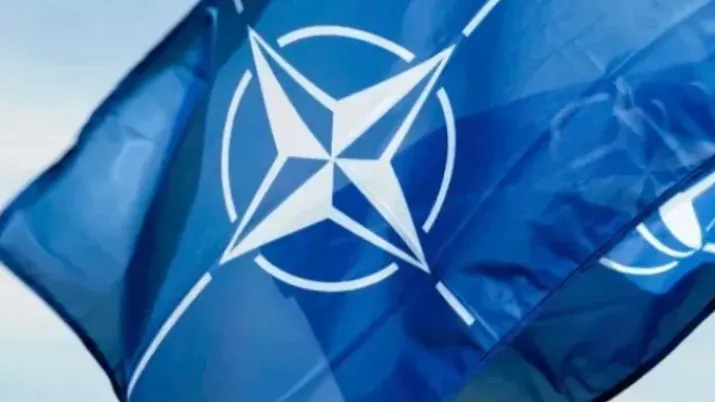 Фото: Sashk0/Shutterstock/Fotodom