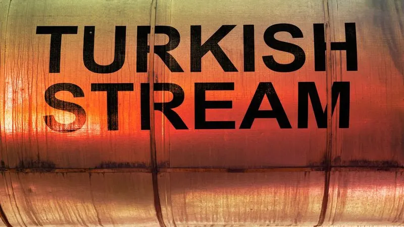 Фото: Lisic/Shutterstock/Fotodom