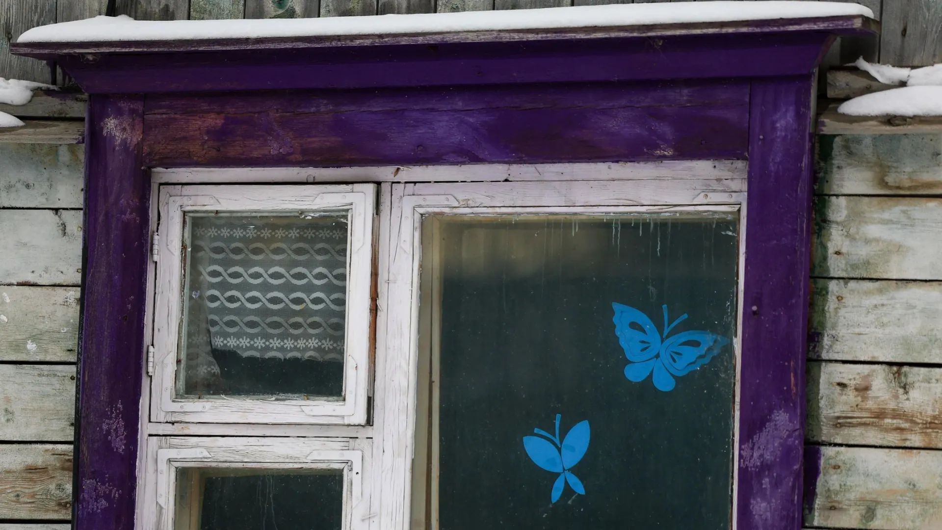 Фото: Александр Чирва/«Ямал-Медиа»