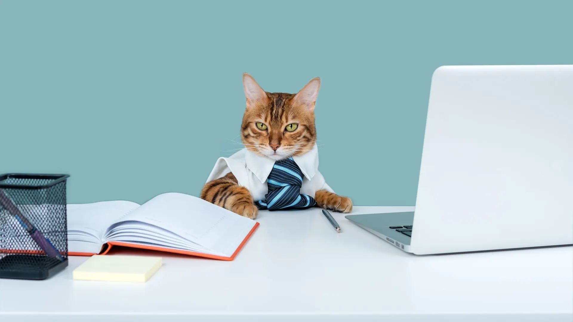 Фото: Svetlana Rey/Shutterstock/Fotodom