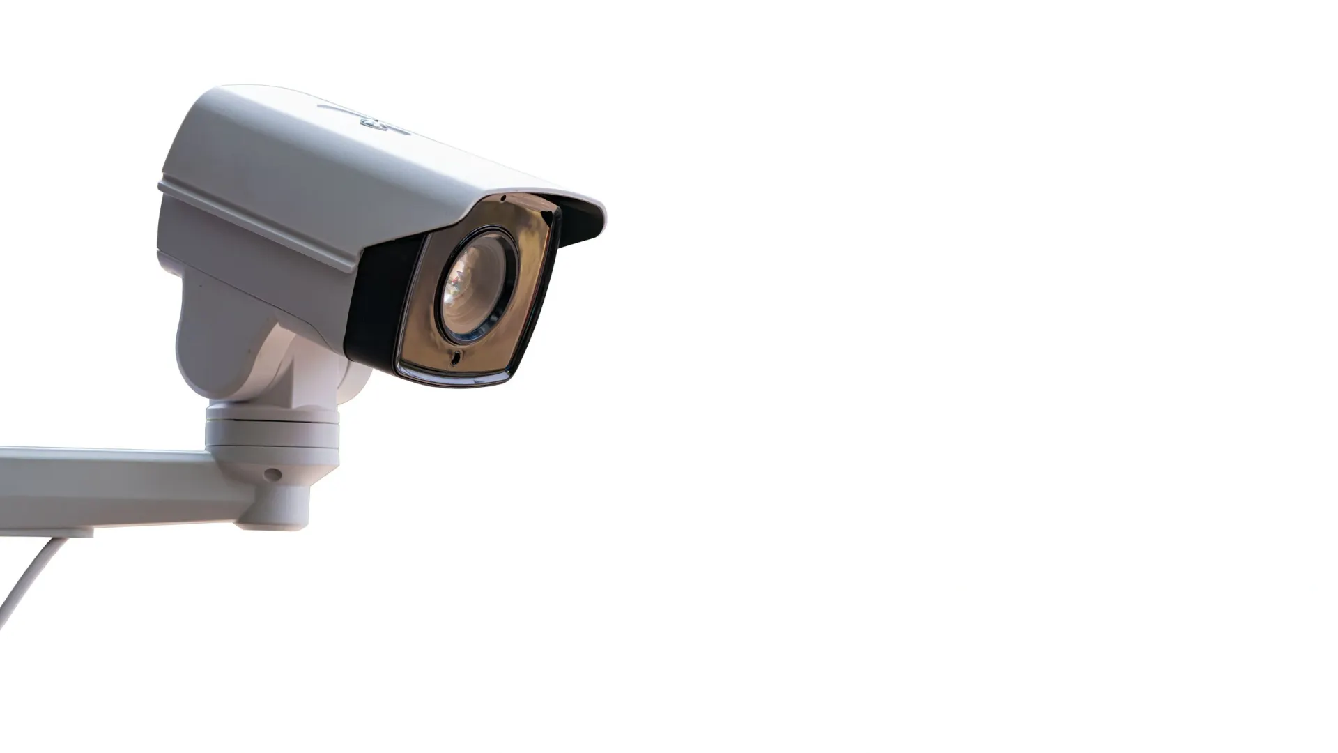 Фото: APChanel/Shutterstock/Fotodom