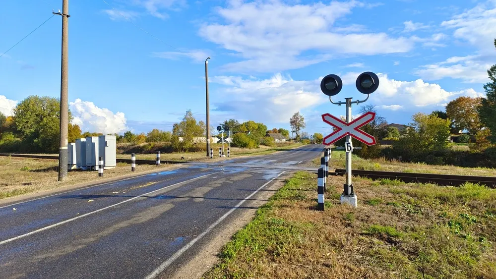 Фото: Balser/Shutterstock/Fotodom