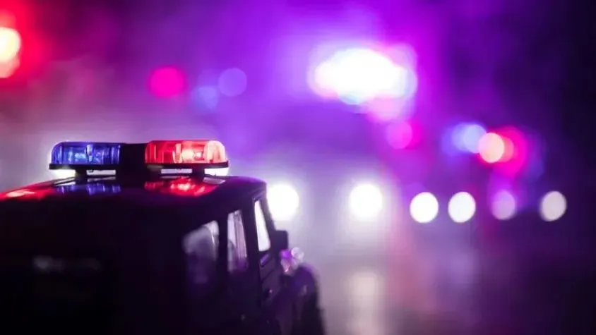 Фото: zef art/Shutterstock/Fotodom