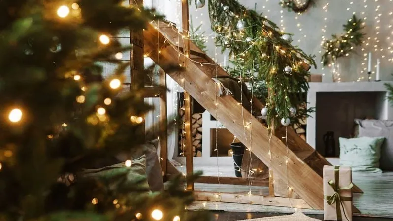 Фото: Anna Markina/Shutterstock/Fotodom