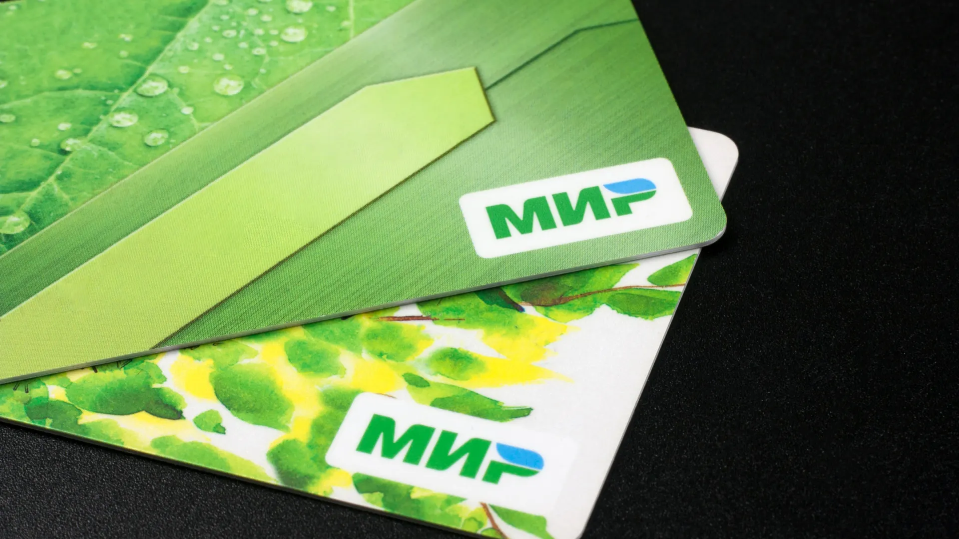 Фото: Melena-Nsk/Shutterstock/Fotodom