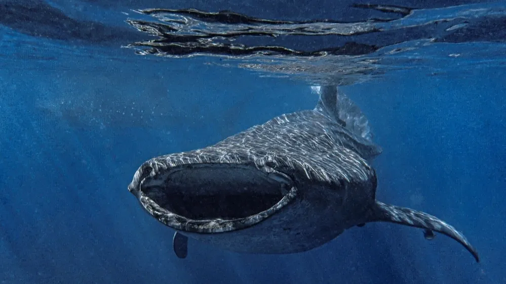 Фото: emherbert/Shutterstock/Fotodom