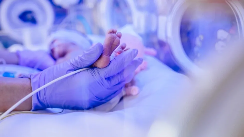 Iryna Inshyna/Shutterstock.com