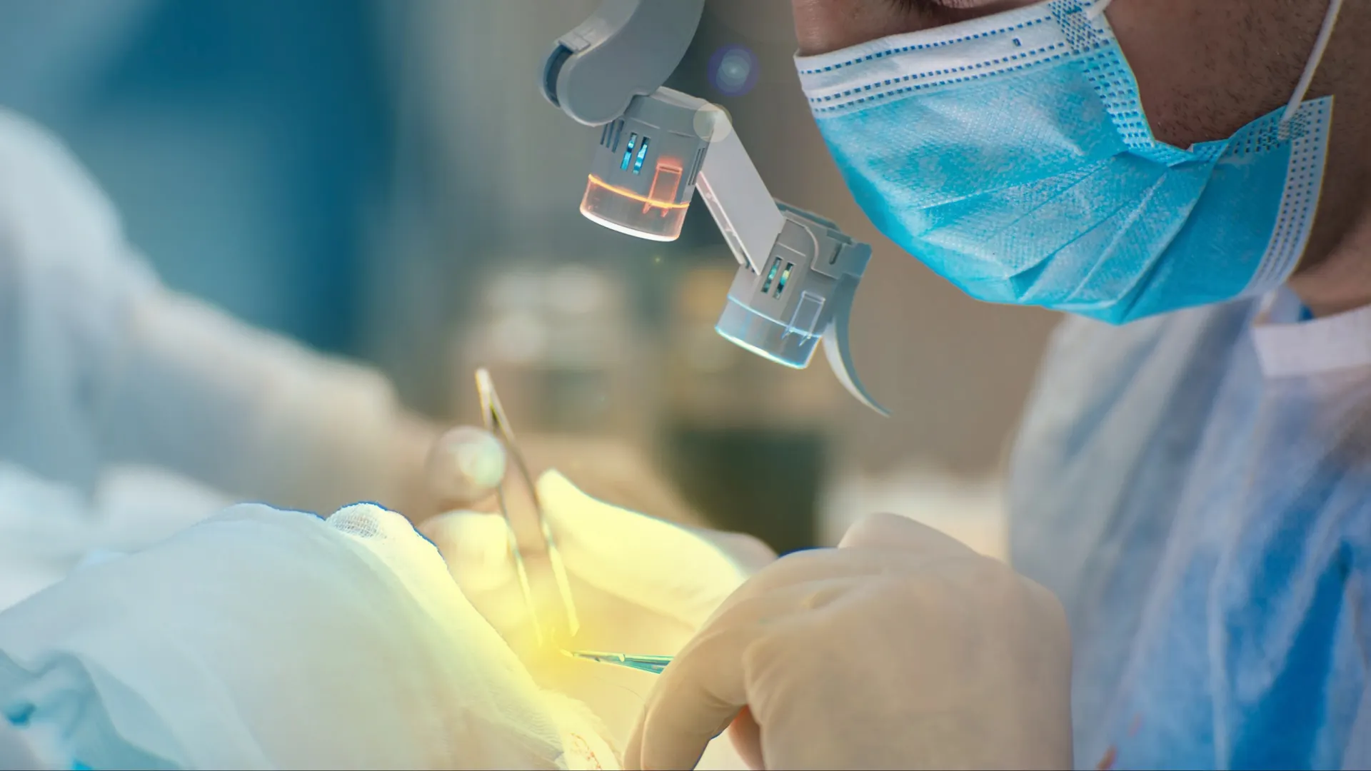 Фото: Velimir Zeland/Shutterstock/Fotodom